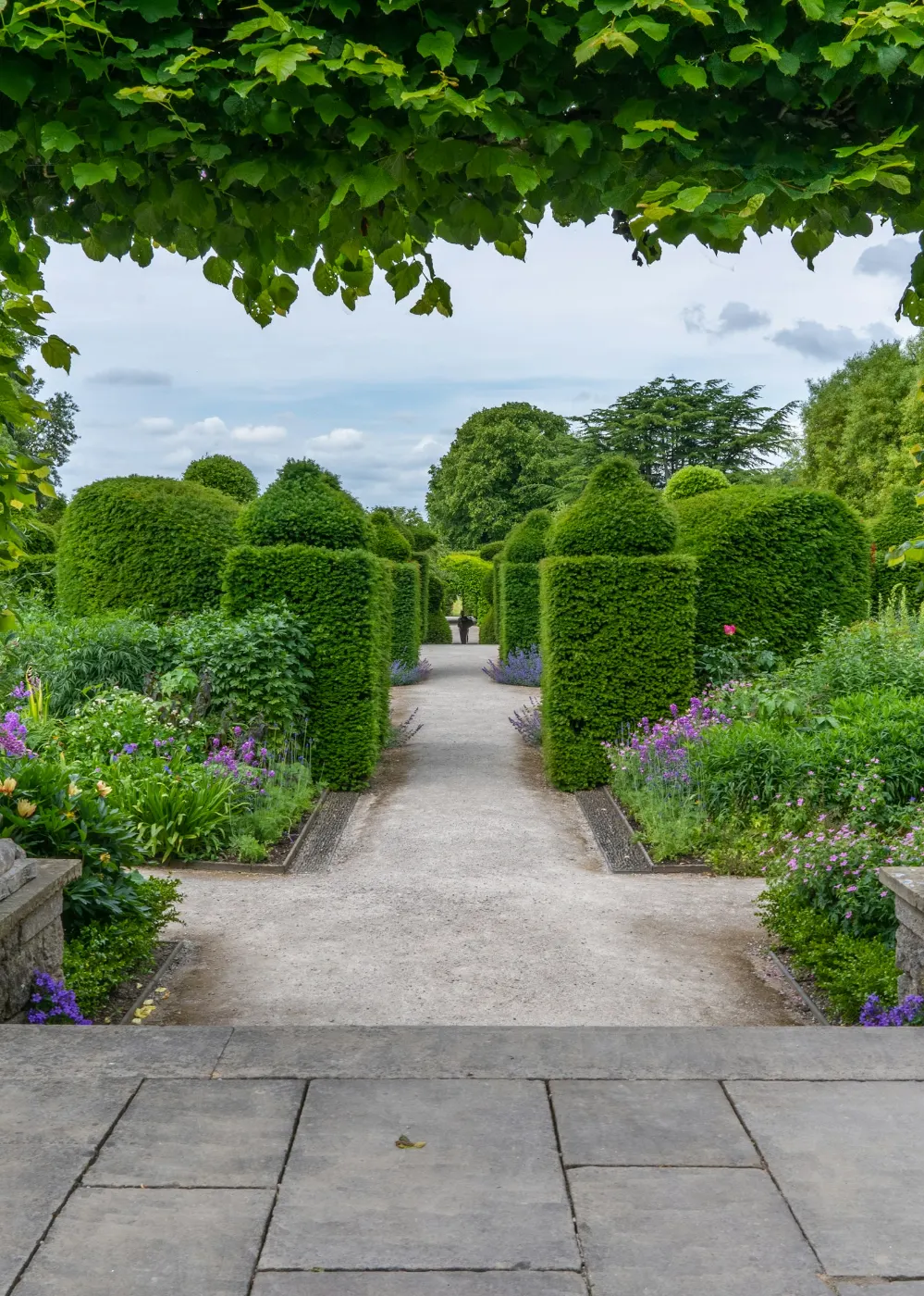 Landscaped garden path winding through lush greenery